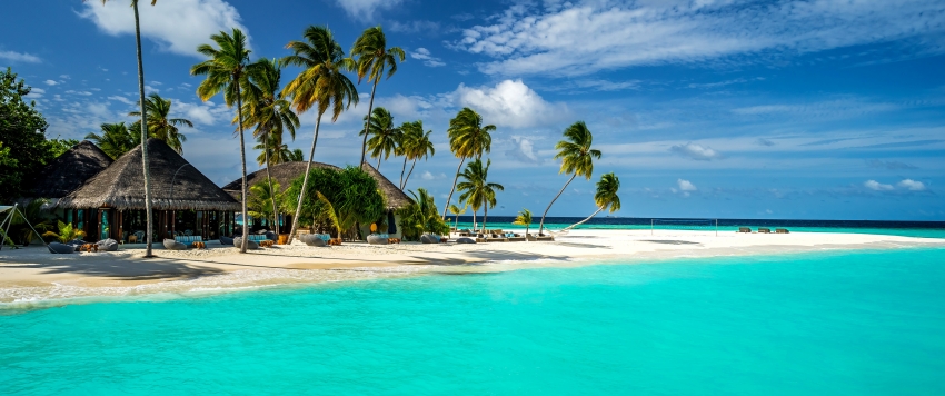 森林自然风光摄影